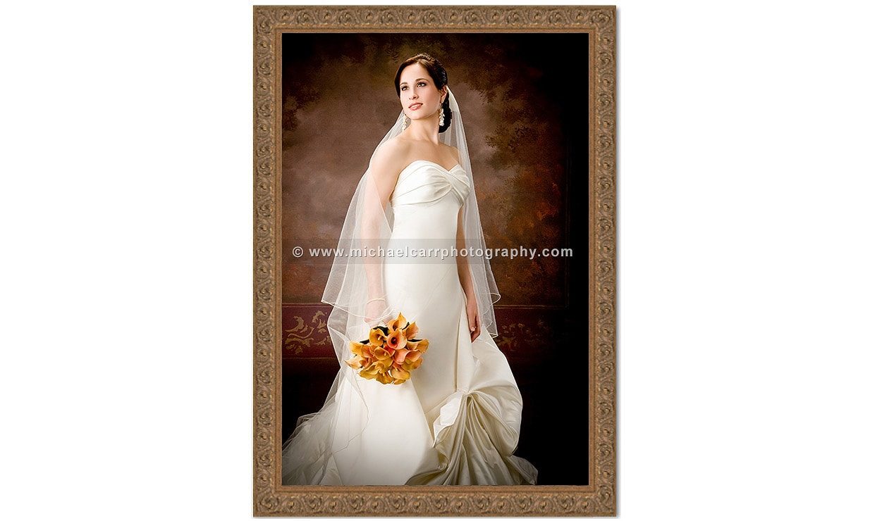 Formal Bridal Portraits